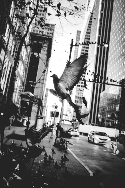x100v-20221217_084017-3